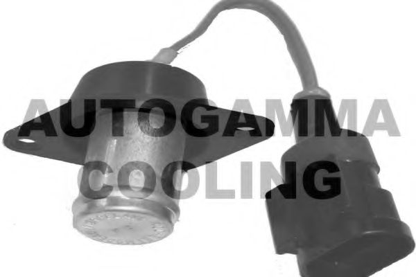 AUTOGAMMA GA15570 Вентилятор системы охлаждения двигателя для FIAT