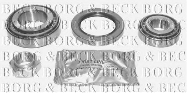 BORG & BECK BWK541 Ступица для IVECO