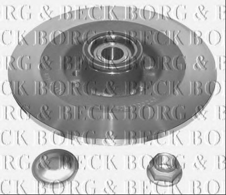 BORG & BECK BWK981 Ступица для RENAULT VEL SATIS