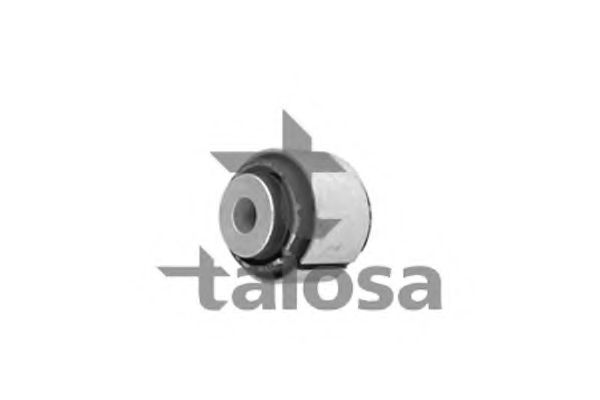 TALOSA 6404798 Подвеска, корпус колесного подшипника 