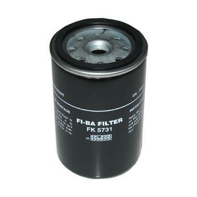 FI.BA FK5731 Топливный фильтр для DAF SB