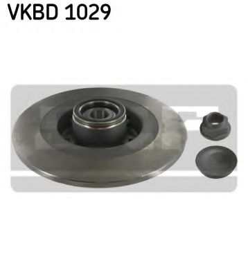 SKF VKBD1029 Тормозные диски SKF для RENAULT