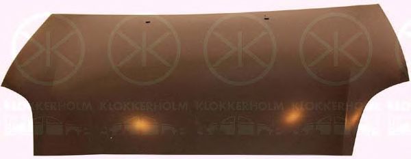 KLOKKERHOLM 2029280A1 Капот для FIAT