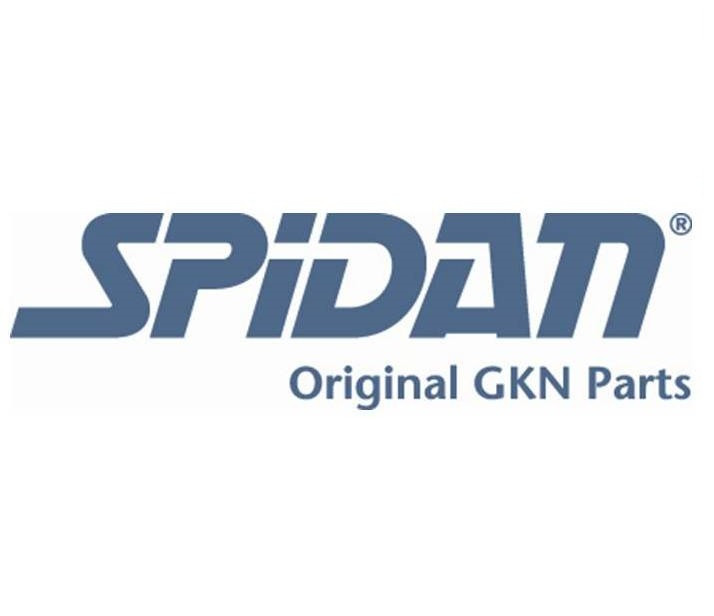 Бренд SPIDAN